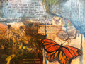 Migration
